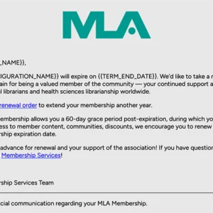 Backend Email Preview